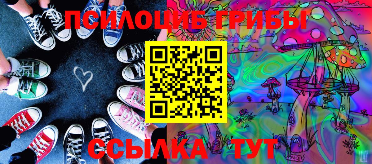 купить  цена  Псилоцибиновые грибы ЛСД  Новосибирск  Вход с VPN  Псилоцибиновые грибы Psilocybine cubensis 
